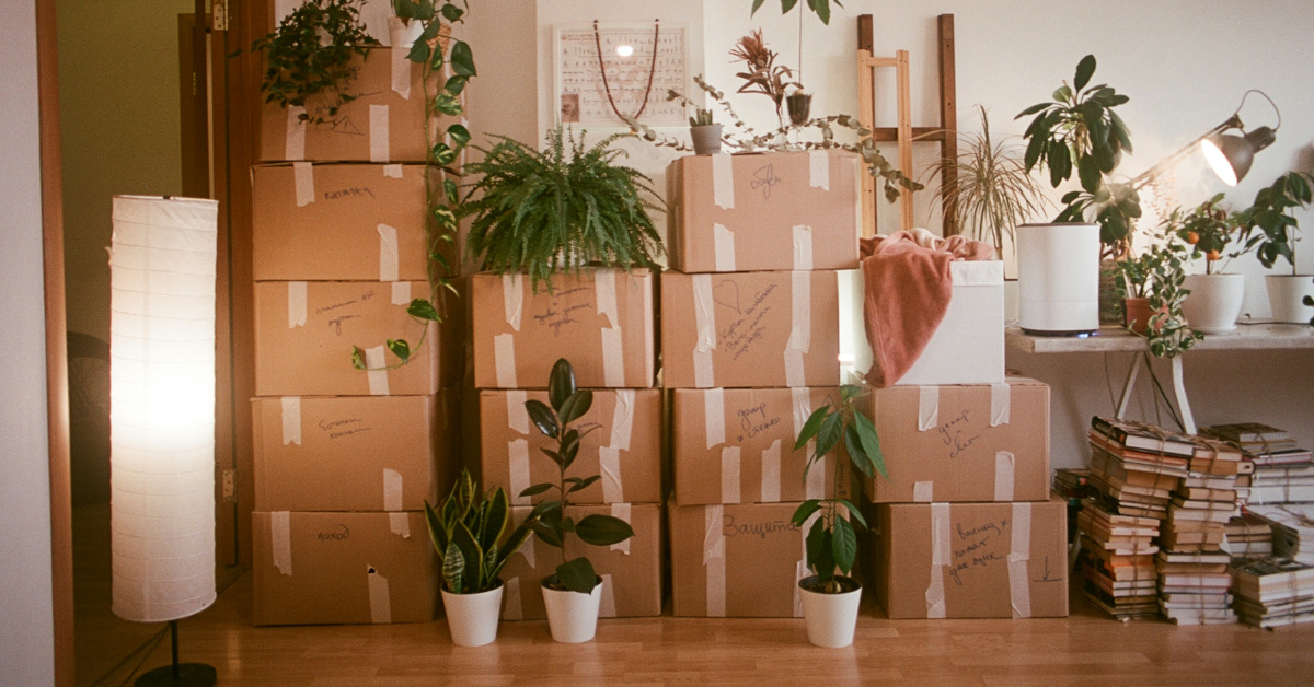 Stacked moving boxes surrounded by houseplants in a new apartment
